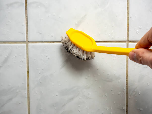 Best Attic Mold Removal  in Andrews, SC