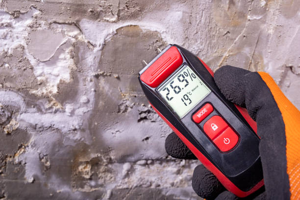 Best Emergency Mold Removal  in Andrews, SC