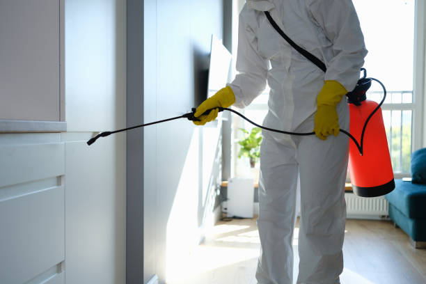 Trusted Andrews, SC Mold Removal Experts