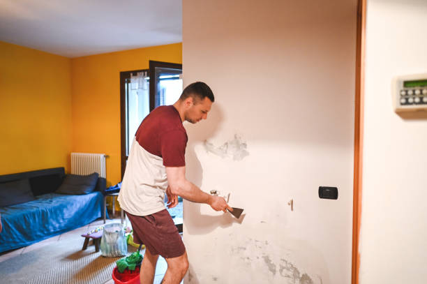Best Residential Mold Removal  in Andrews, SC